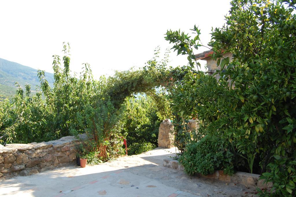 Casas Rurales Carrizosa Navaconcejo Esterno foto
